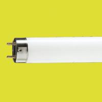 30-cm-1-foot-fluorescentie-buis-18w-geel-18-watt_thb.jpg