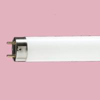 30-cm-1-foot-fluorescentie-buis-18w-roze-18-watt_thb.jpg